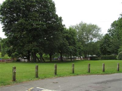 Picture 2
